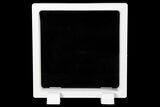 4.4" (Large) Floating Frame Display Cases With Stands - White - Photo 4